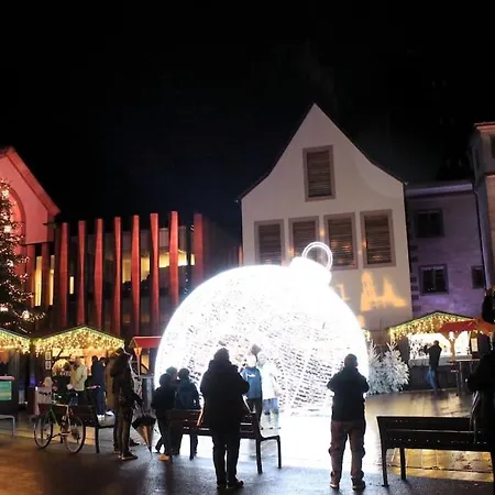 La Cigogne D'alsace 1 *