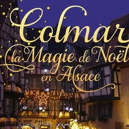 La Cigogne D'alsace 1 Selestat