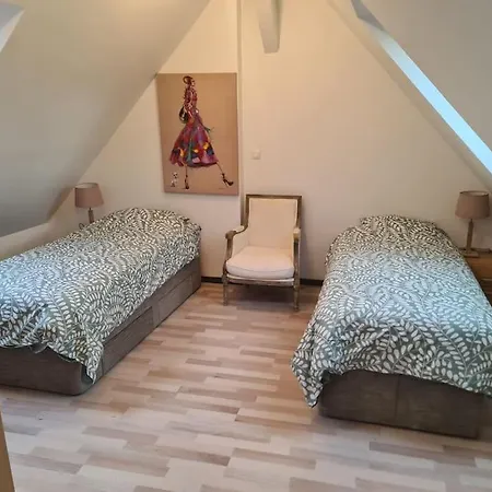 La Cigogne D'alsace 1 Appartamento Sélestat