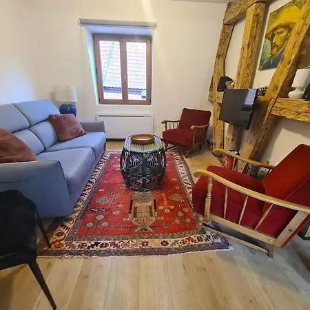 La Cigogne D'alsace 1 * Sélestat