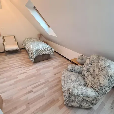 La Cigogne D'alsace 1 Selestat