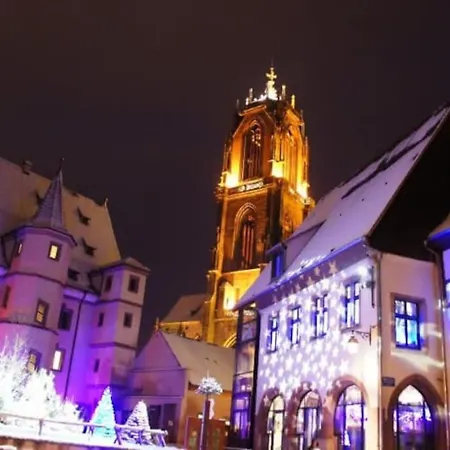 Appartamento La Cigogne D'alsace 1