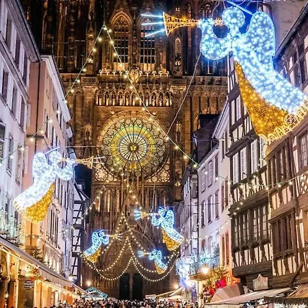 La Cigogne D'alsace 1 Selestat