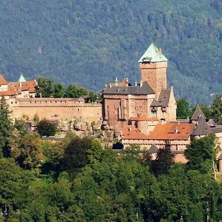 La Cigogne D'alsace 1 Appartamento