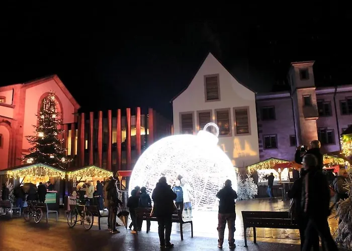 La Cigogne D'alsace 1 *