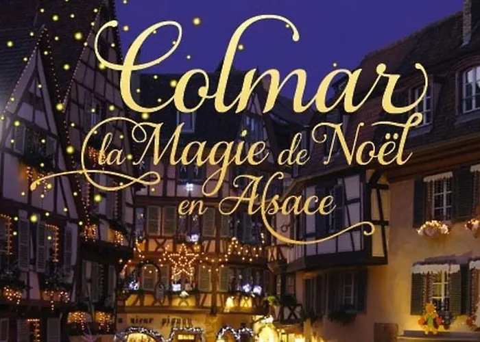 La Cigogne D'alsace 1 Sélestat