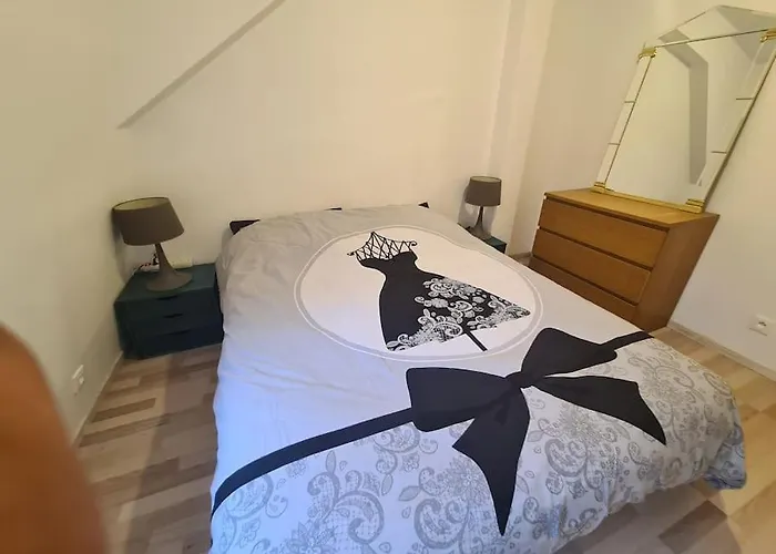 La Cigogne D'alsace 1 Apartman Sélestat