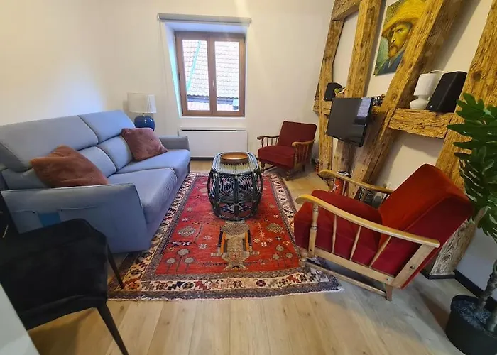 La Cigogne D'alsace 1 * Sélestat