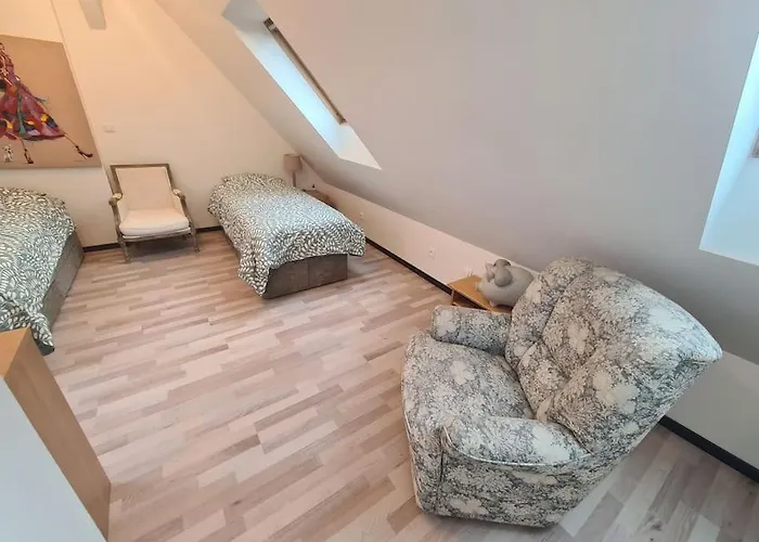 La Cigogne D'alsace 1 Sélestat