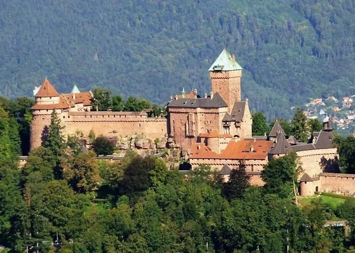 La Cigogne D'alsace 1 Apartman